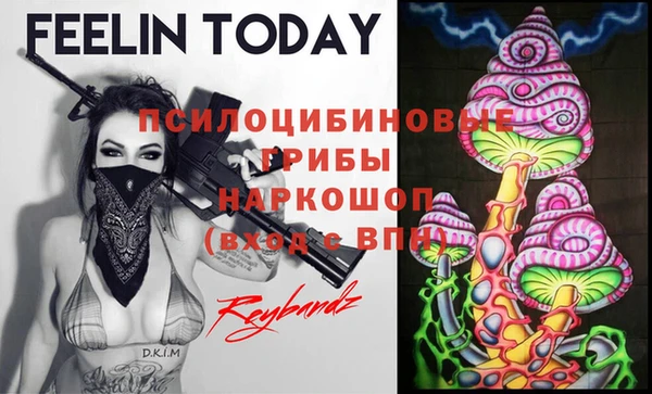 шишки Алексин