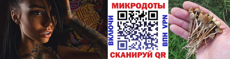 Псилоцибиновые грибы Magic Shrooms Безенчук